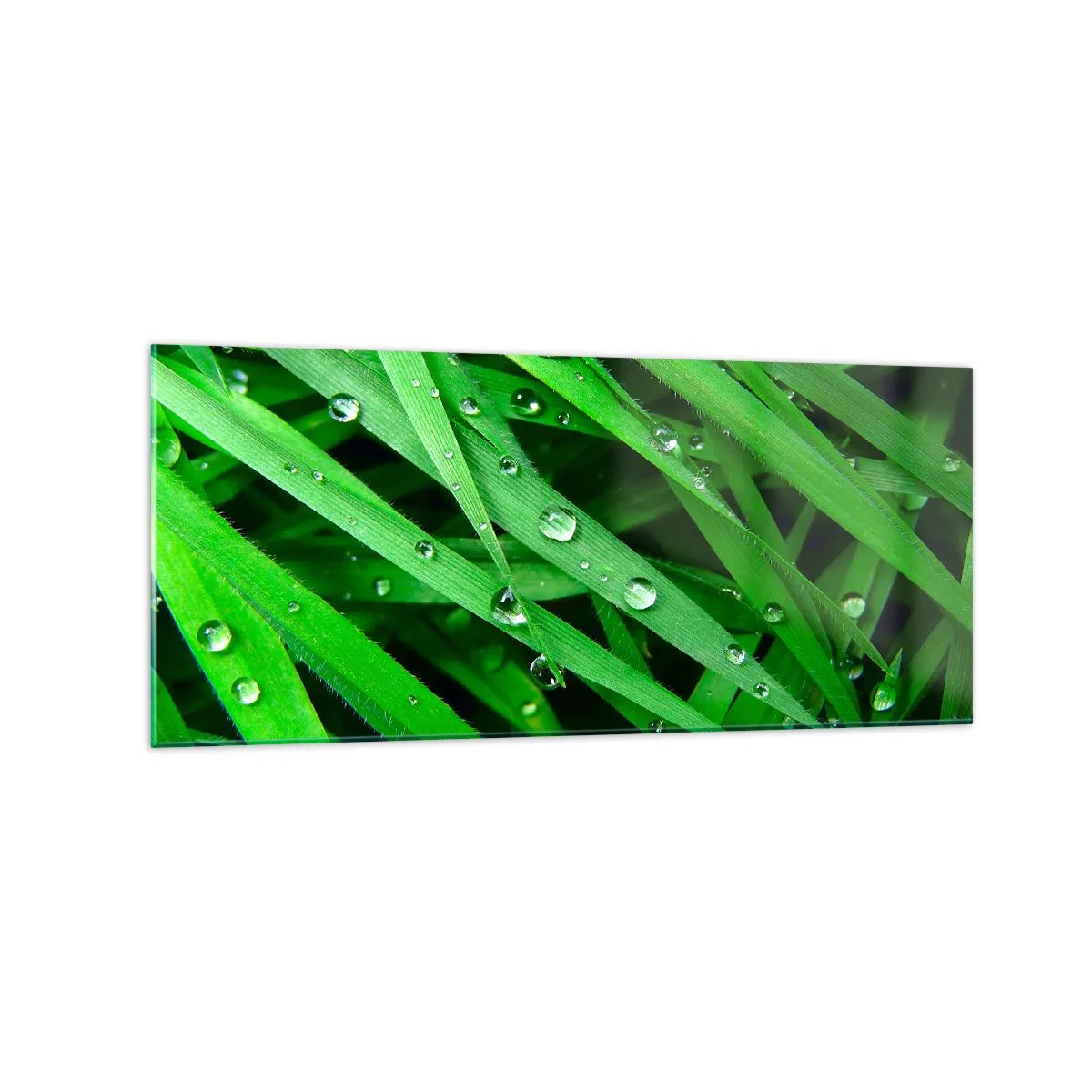 Cuadro sobre vidrio - Impresiones sobre Vidrio - Primer plano de hojas verdes de hierba con gotas de rocío - 120x50cm - Jugar al verde - Decoración de pared moderna para salón y dormitorio ARTTOR