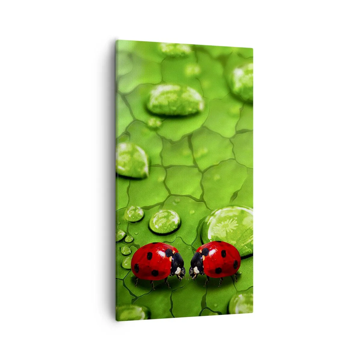 Cuadro sobre lienzo - Impresión de Imagen - Reunión sobre verde - 55x100 cm