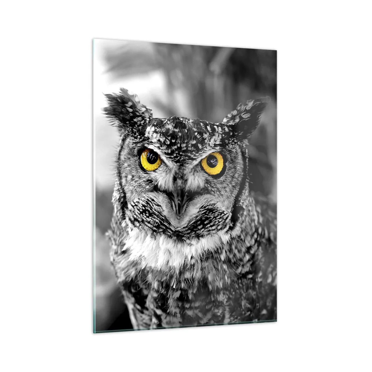 Cuadro sobre vidrio - Impresiones sobre Vidrio - Un búho con ojos amarillos sobre un fondo blanco y negro. - 50x70cm - Nada se puede ocultar - Decoración de pared moderna para salón y dormitorio ARTTOR