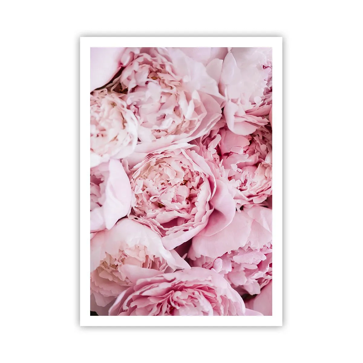 Póster - Cálido y fragante - 70x100 cm