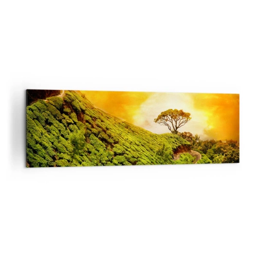Cuadro sobre lienzo - Impresión de Imagen - Colinas verdes de plantaciones de té al atardecer - 160x50cm - Por un camino sinuoso, por una verde pendiente - Decoración de pared moderna para salón y dormitorio ARTTOR