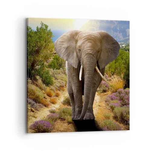 Cuadro sobre lienzo - Impresión de Imagen - Este es el aspecto del Edén - 70x70 cm