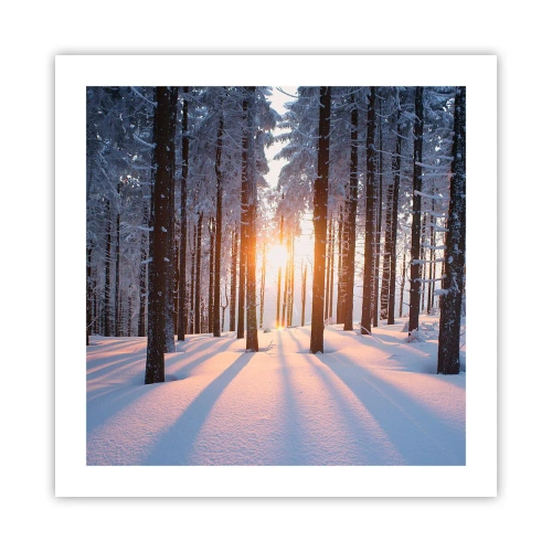 Póster - Claramente en blanco y negro - 50x50 cm