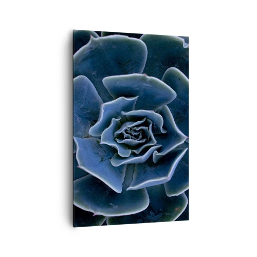 Cuadro sobre lienzo - Impresión de Imagen - Primer plano de una roseta suculenta verde - 80x120cm - Flor del desierto - Decoración de pared moderna para salón y dormitorio ARTTOR