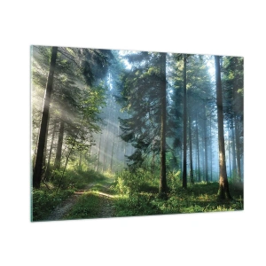Cuadro sobre vidrio - Impresiones sobre Vidrio - Un sendero forestal en la niebla de la mañana entre árboles altos. - 100x70cm - Radiante por la mañana - Decoración de pared moderna para salón y dormitorio ARTTOR
