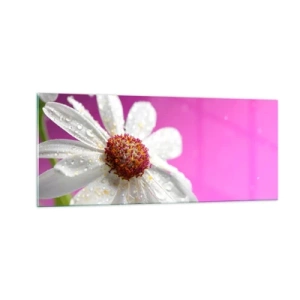 Cuadro sobre vidrio - Impresiones sobre Vidrio - Modesto en su belleza - 100x40 cm