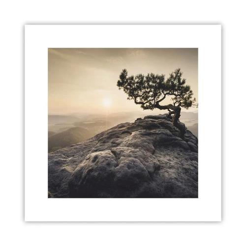 Póster - La vida se abre camino - 30x30 cm