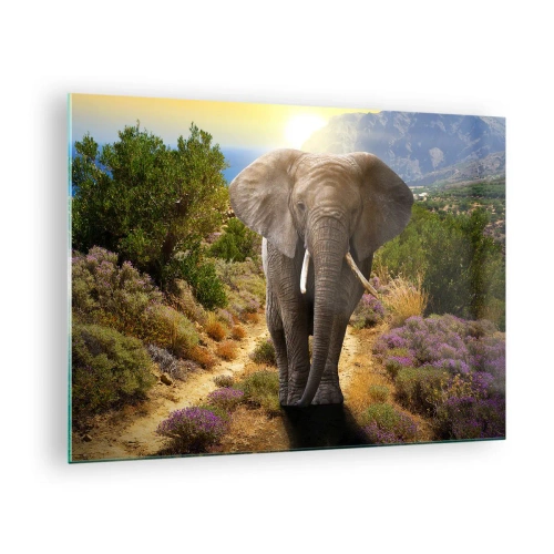 Cuadro sobre vidrio - Impresiones sobre Vidrio - Un elefante frente a un paisaje montañoso al atardecer. - 70x50cm - Este es el aspecto del Edén - Decoración de pared moderna para salón y dormitorio ARTTOR