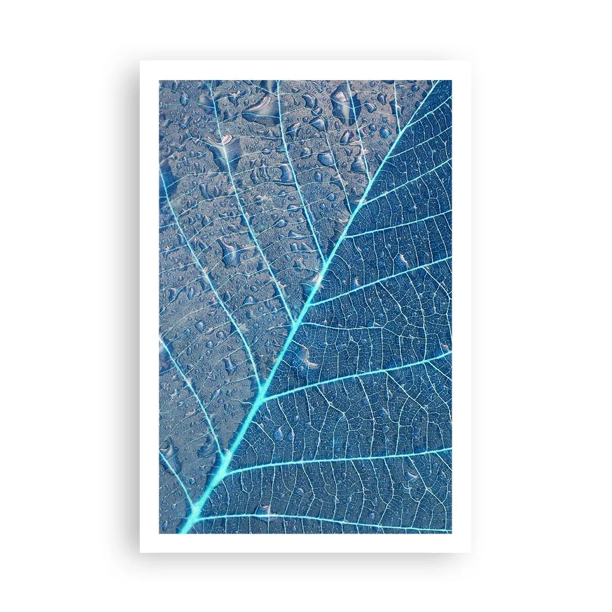 Póster - Vida en el azul - 61x91 cm