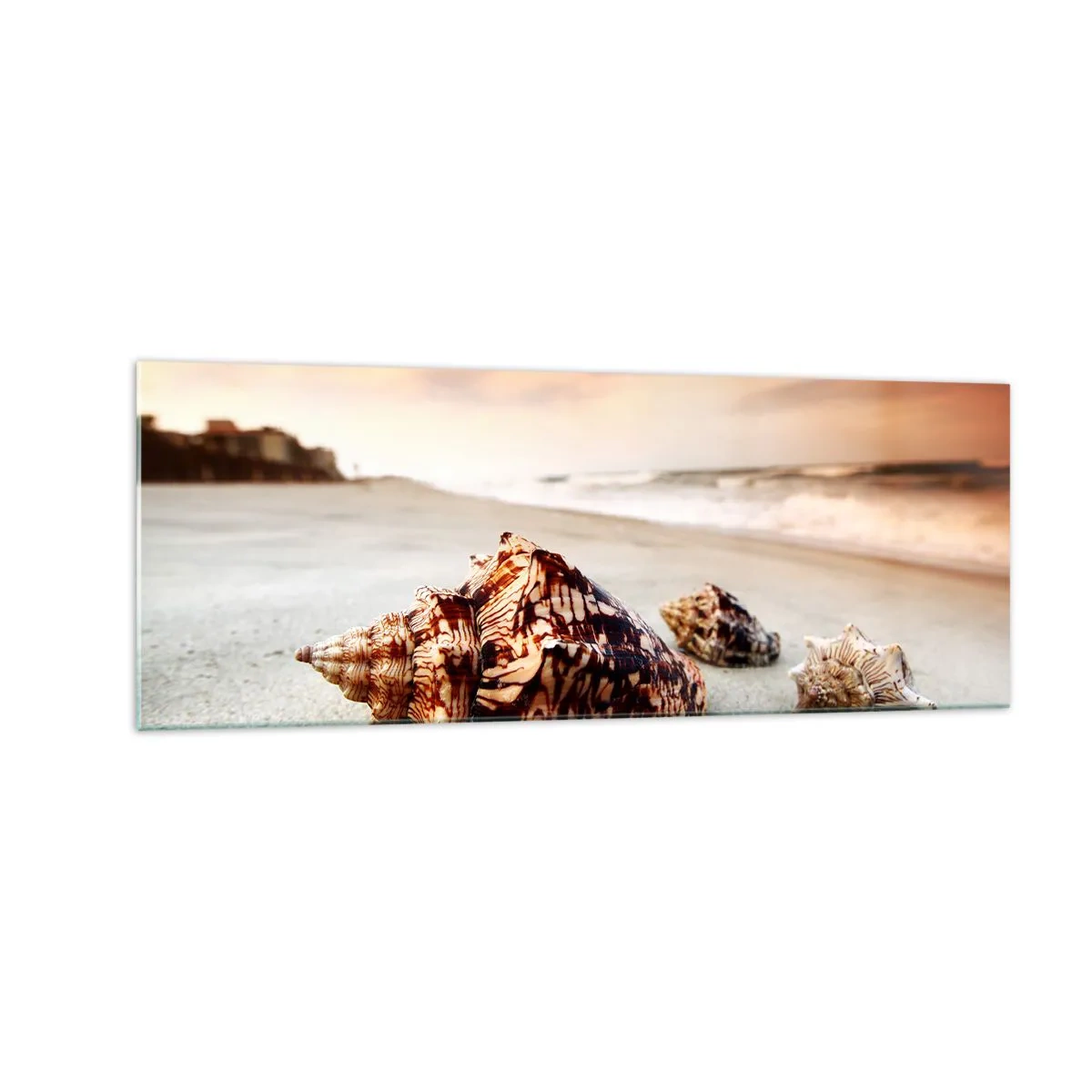 Cuadro sobre vidrio - Impresiones sobre Vidrio - Conchas en la playa al atardecer - 140x50cm - Los exiliados de las olas - Decoración de pared moderna para salón y dormitorio ARTTOR