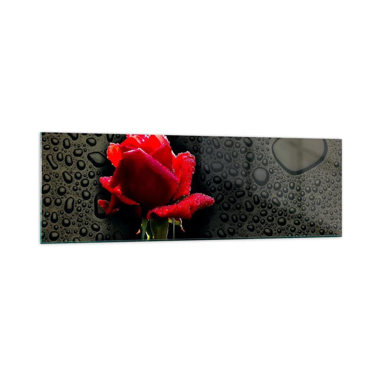 Cuadro sobre vidrio - Impresiones sobre Vidrio - Rosa roja con gotas de agua sobre un fondo oscuro - 160x50cm - Rojo y negro - Decoración de pared moderna para salón y dormitorio ARTTOR