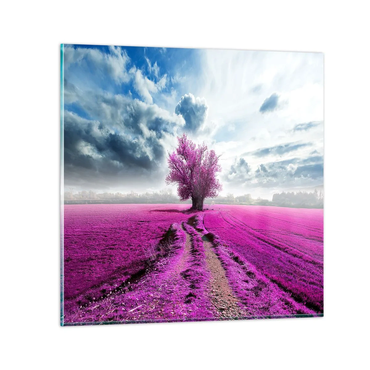 Cuadro sobre vidrio - Impresiones sobre Vidrio - El brezal - un encanto - 70x70 cm