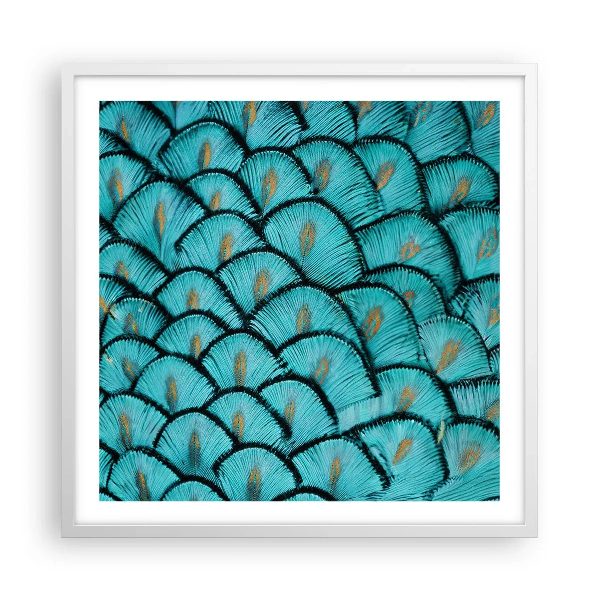 Póster en marco blanco - La gran gala de las plumas - 60x60 cm