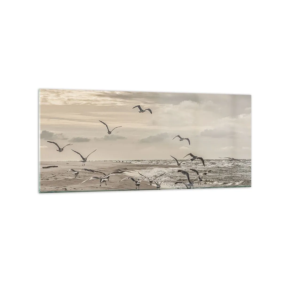 Cuadro sobre vidrio - Impresiones sobre Vidrio - Una gaviota en vuelo sobre un paisaje costero - 120x50cm - El sonido del mar, el canto de los pájaros - Decoración de pared moderna para salón y dormitorio ARTTOR