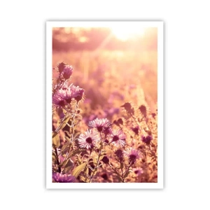 Póster - Antes de que se acabe el verano - 70x100 cm