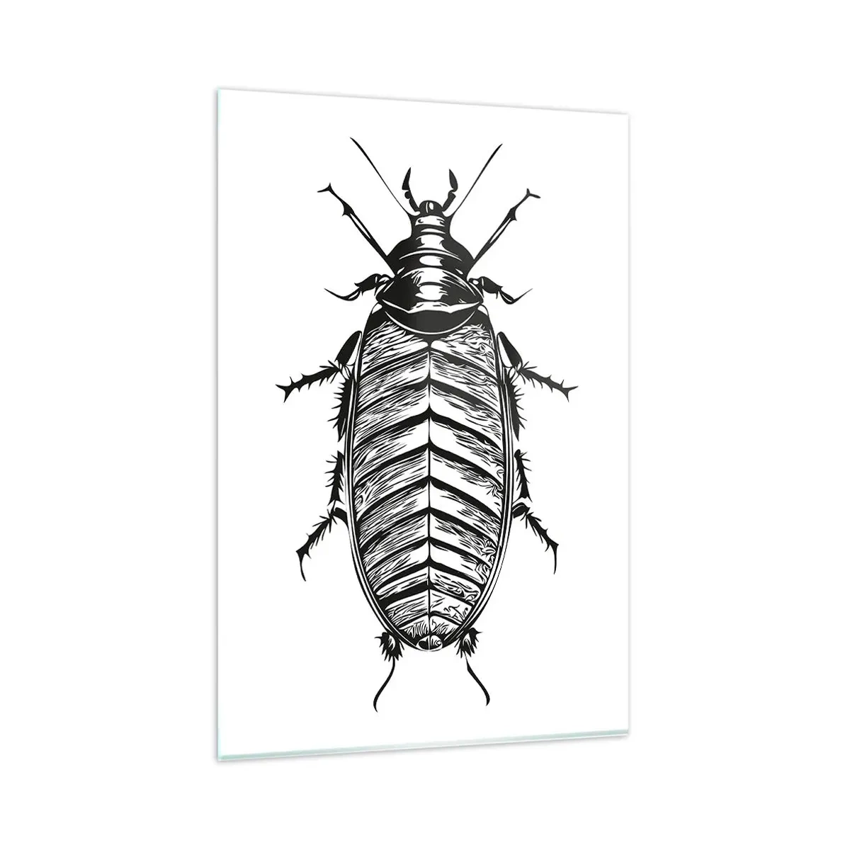 Cuadro sobre vidrio - Impresiones sobre Vidrio - Gráfico de un insecto en blanco y negro sobre un fondo blanco. - 80x120cm - ¡Qué espécimen! - Decoración de pared moderna para salón y dormitorio ARTTOR