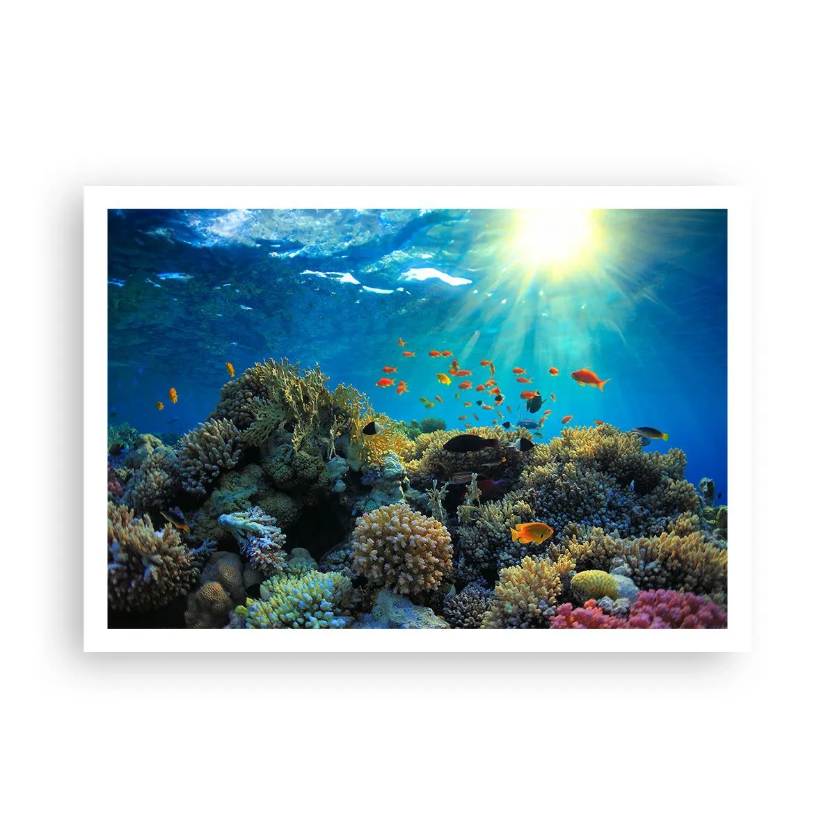 Póster - Arrecife de coral con peces bajo los rayos del sol bajo el agua. - 100x70cm - Tesoros submarinos - Decoración de pared moderna para salón y dormitorio ARTTOR