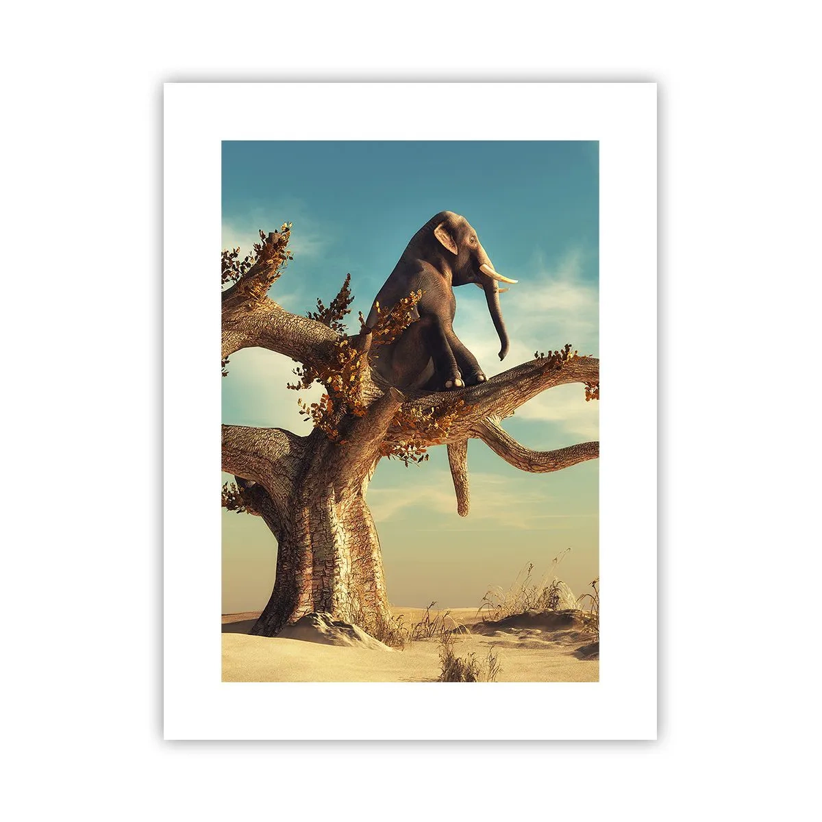 Póster - Un nuevo punto de vista - 30x40 cm