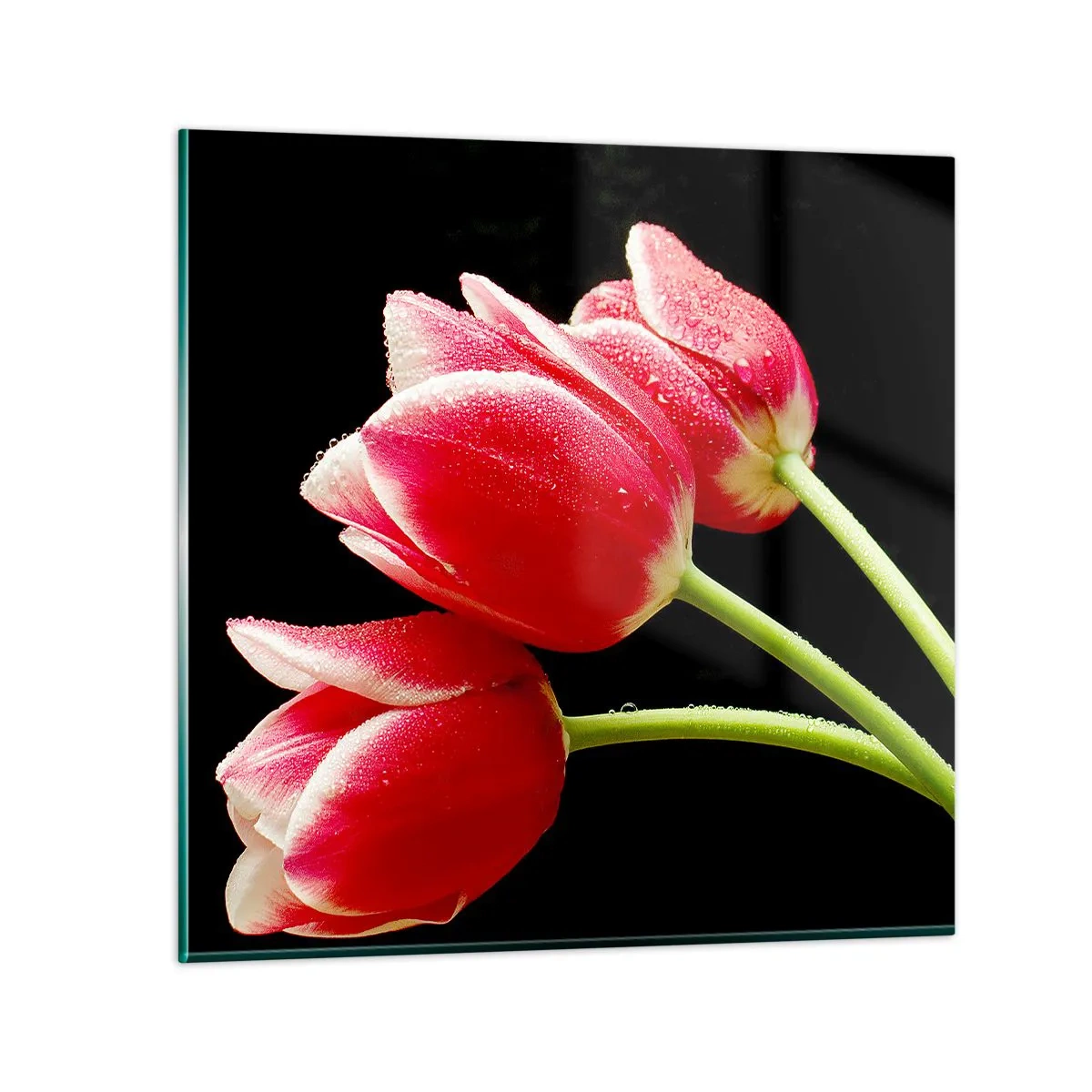 Cuadro sobre vidrio - Impresiones sobre Vidrio - Promesa de amor puro - 50x50 cm