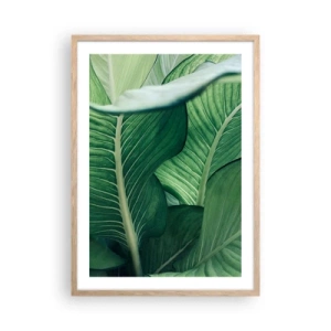 Póster en marco roble claro - Vida intensamente verde - 50x70 cm