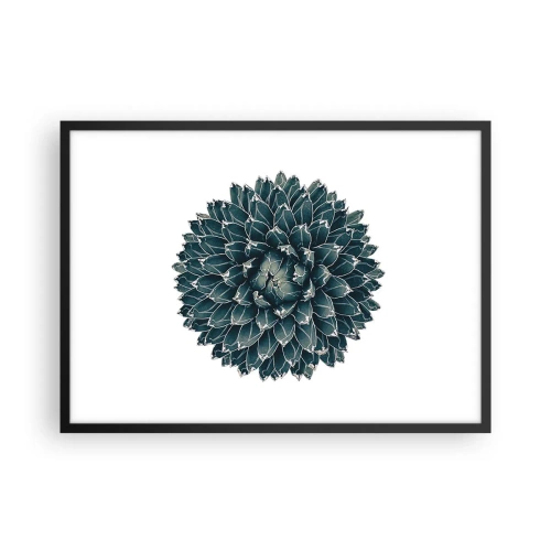 Póster en marco negro - Planta suculenta simétrica sobre un fondo blanco. - 70x50cm - Estrella del desierto - Decoración de pared moderna para salón y dormitorio ARTTOR