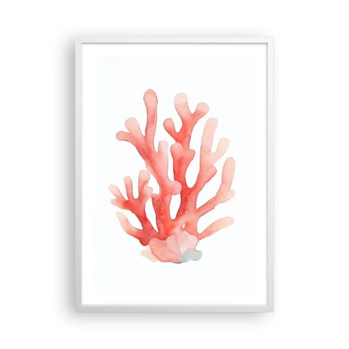 Póster en marco blanco - La hermosura del color coral - 50x70 cm