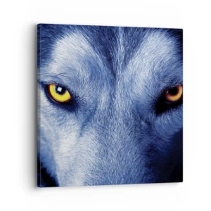 Cuadro sobre lienzo - Impresión de Imagen - La mirada hipnótica - 30x30 cm