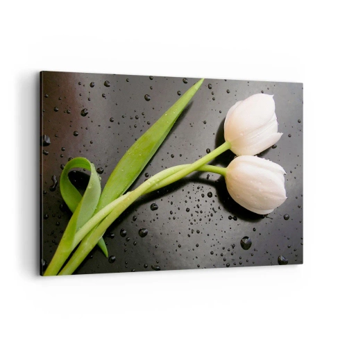 Cuadro sobre lienzo - Impresión de Imagen - Tulipanes blancos sobre fondo negro con gotas de agua. - 120x80cm - Primavera - Decoración de pared moderna para salón y dormitorio ARTTOR