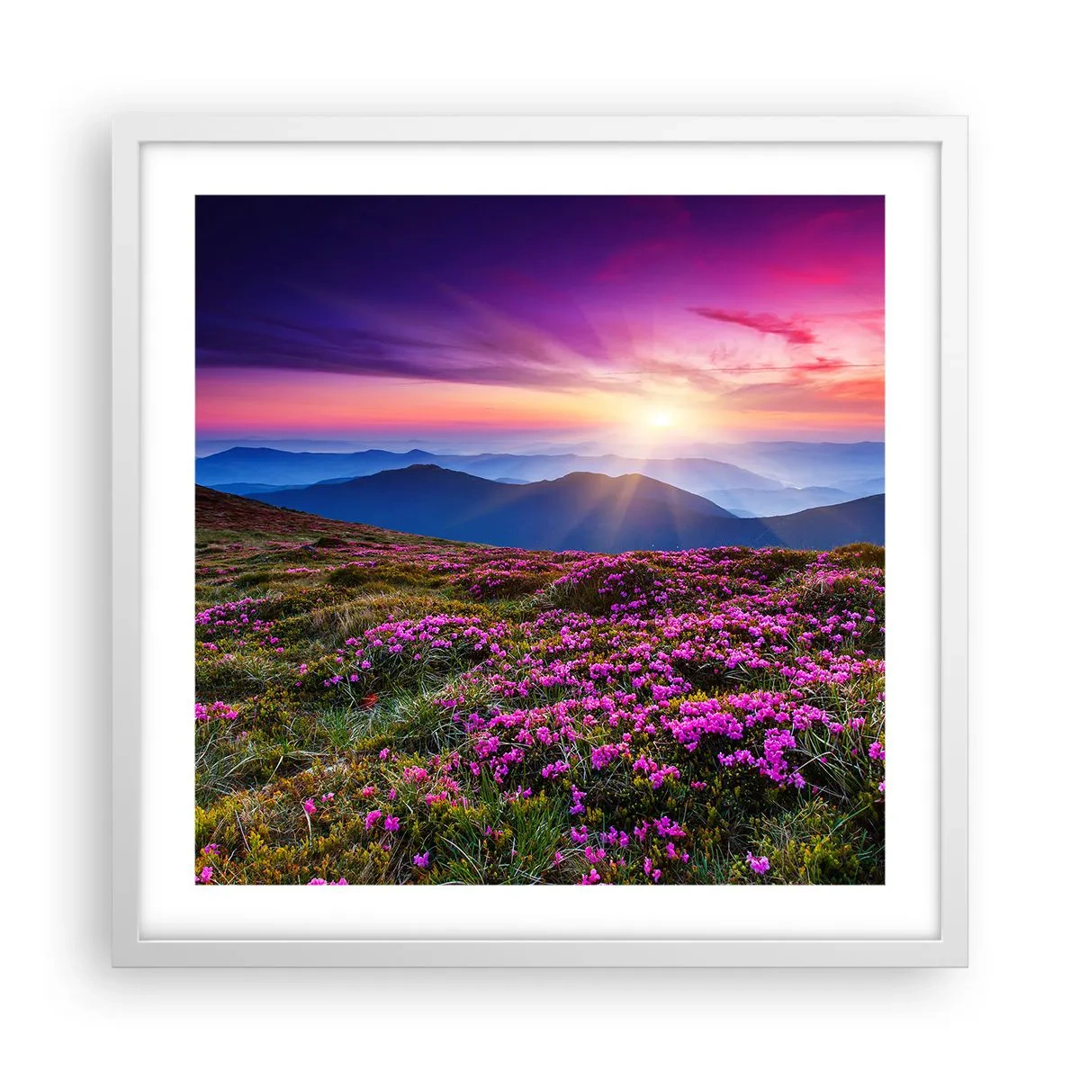 Póster en marco blanco - Dulce aroma a frescura - 50x50 cm