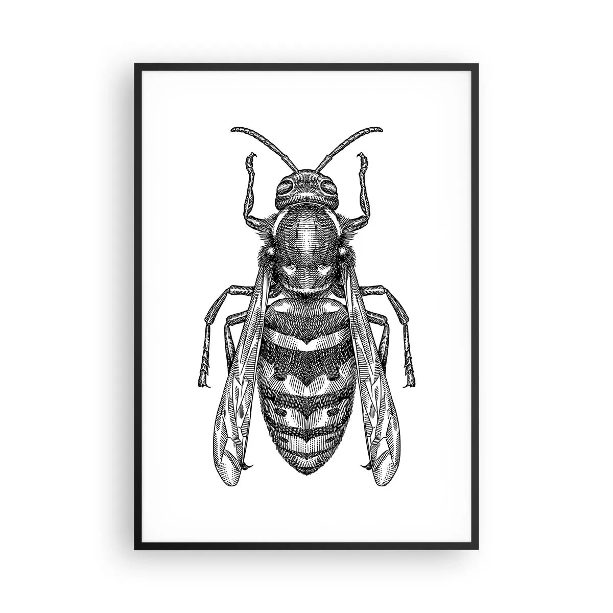 Póster en marco negro - Desde un planeta de insectos - 70x100 cm