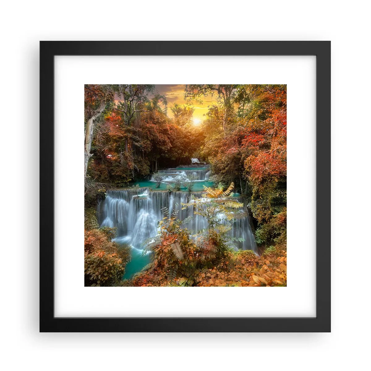 Póster en marco negro - El tesoro escondido del bosque - 30x30 cm