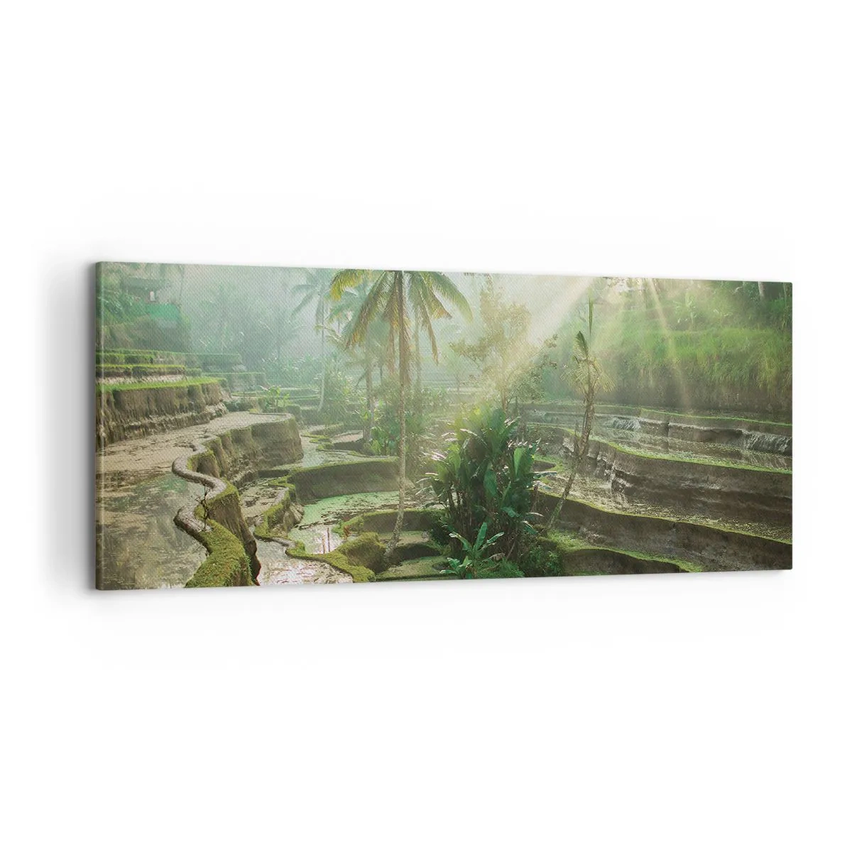 Cuadro sobre lienzo - Impresión de Imagen - Crecer bajo el sol - 100x40 cm