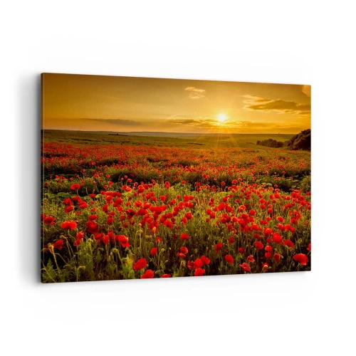 Cuadro sobre lienzo - Impresión de Imagen - Un campo de amapolas rojas bajo el resplandor del sol poniente. - 100x70cm - Entre los campos de flores - Decoración de pared moderna para salón y dormitorio ARTTOR