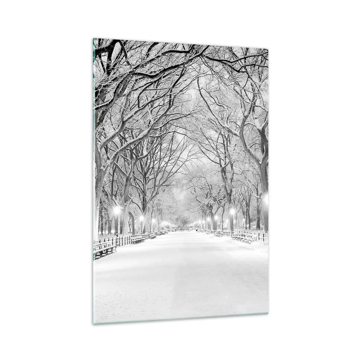Cuadro sobre vidrio - Impresiones sobre Vidrio - Un callejón invernal con árboles cubiertos de nieve en monocromo. - 70x100cm - Cuatro estaciones - invierno - Decoración de pared moderna para salón y dormitorio ARTTOR