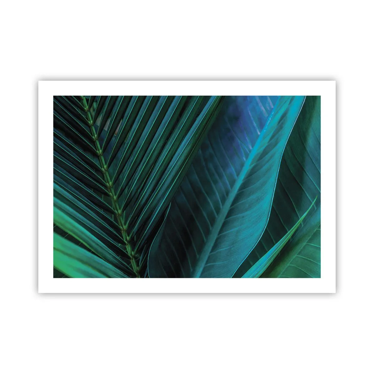 Póster - Anatomía del verde - 70x50 cm