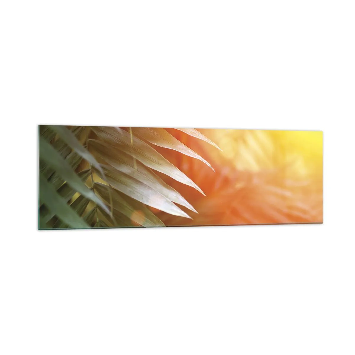 Cuadro sobre vidrio - Impresiones sobre Vidrio - Hojas de palma en los rayos del atardecer. - 160x50cm - Mañana en la selva - Decoración de pared moderna para salón y dormitorio ARTTOR