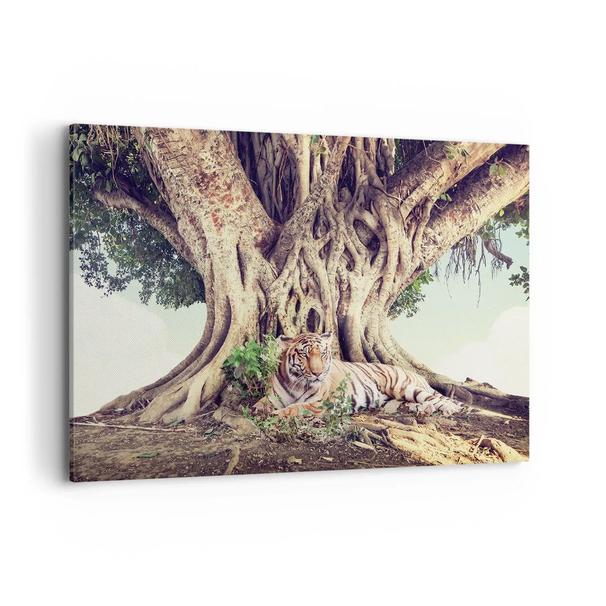 Cuadro sobre lienzo - Impresión de Imagen - Un tigre descansando bajo un árbol extendido - 100x70cm - Una visión desde el Génesis - Decoración de pared moderna para salón y dormitorio ARTTOR