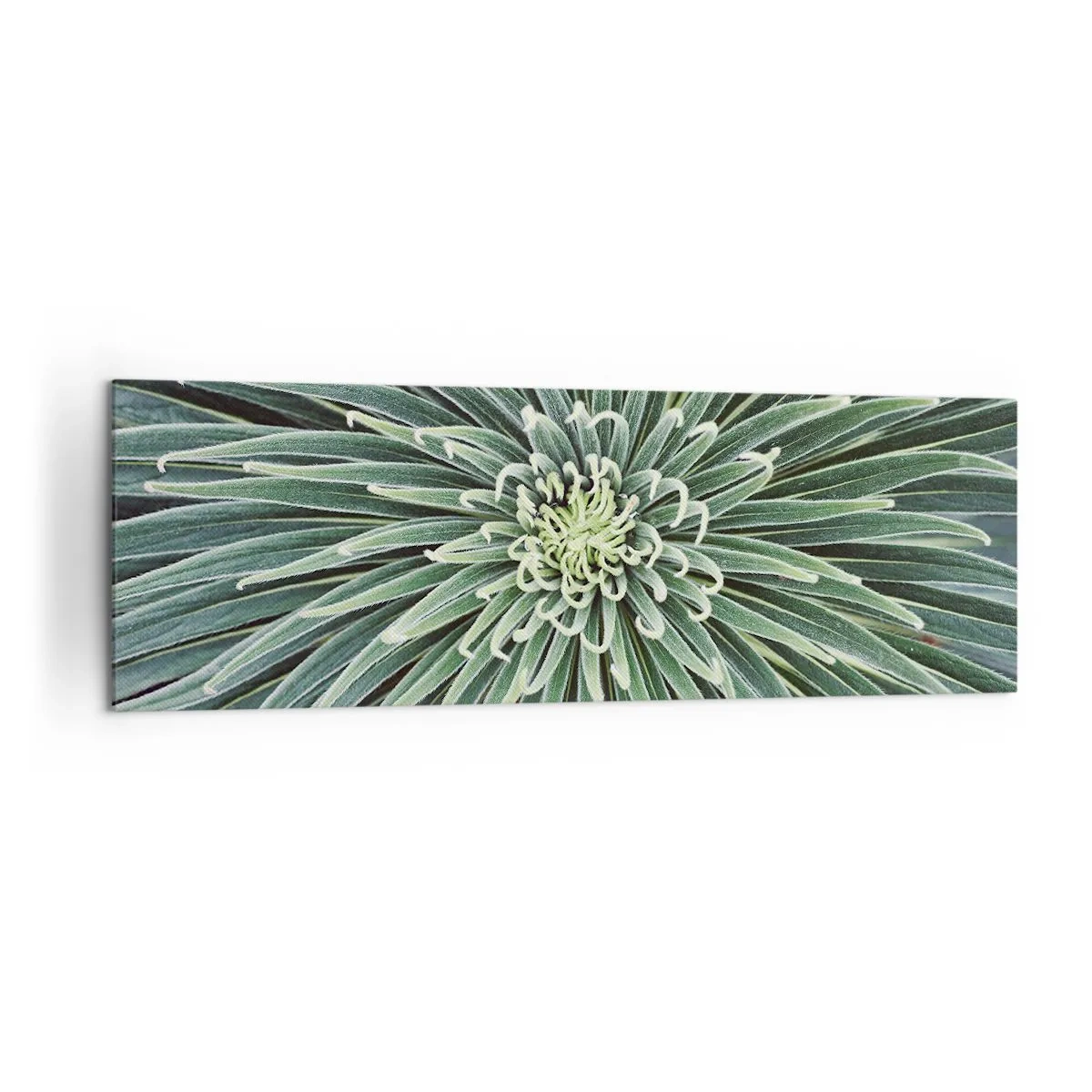 Cuadro sobre lienzo - Impresión de Imagen - Disposición simétrica de hojas verdes que se asemeja a una estrella. - 160x50cm - El nacimiento de una estrella - Decoración de pared moderna para salón y dormitorio ARTTOR
