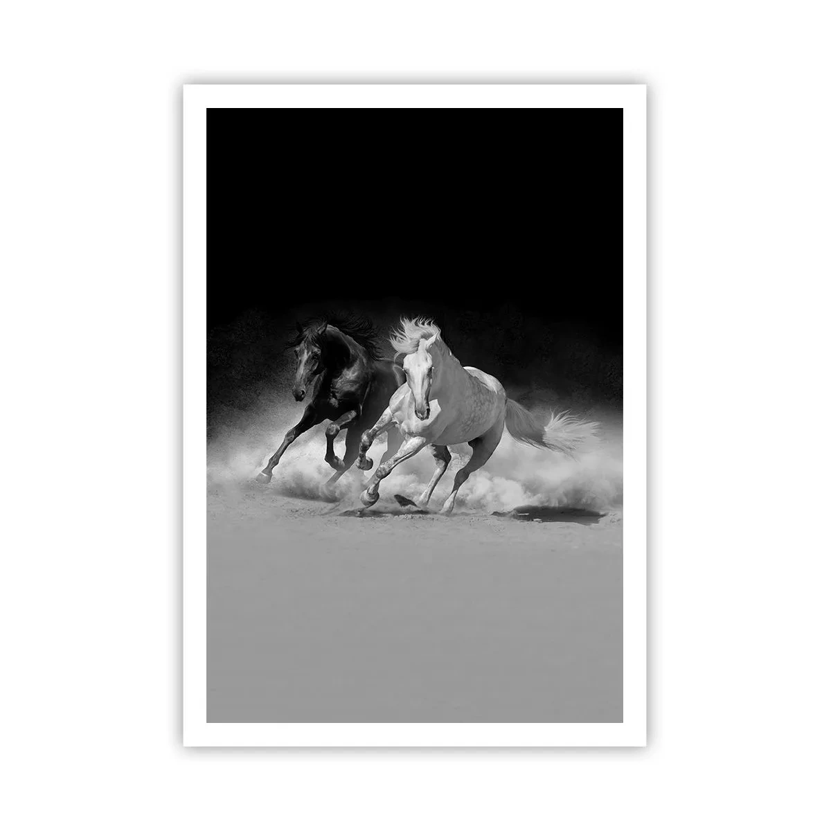 Póster - El galope de la libertad - 70x100 cm