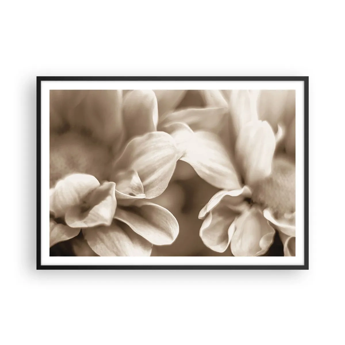 Póster en marco negro - Primer plano de flores en un delicado tono sepia con contornos suaves. - 100x70cm - Suave como una sonrisa - Decoración de pared moderna para salón y dormitorio ARTTOR