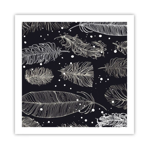 Póster - Encaje de plumas - 60x60 cm