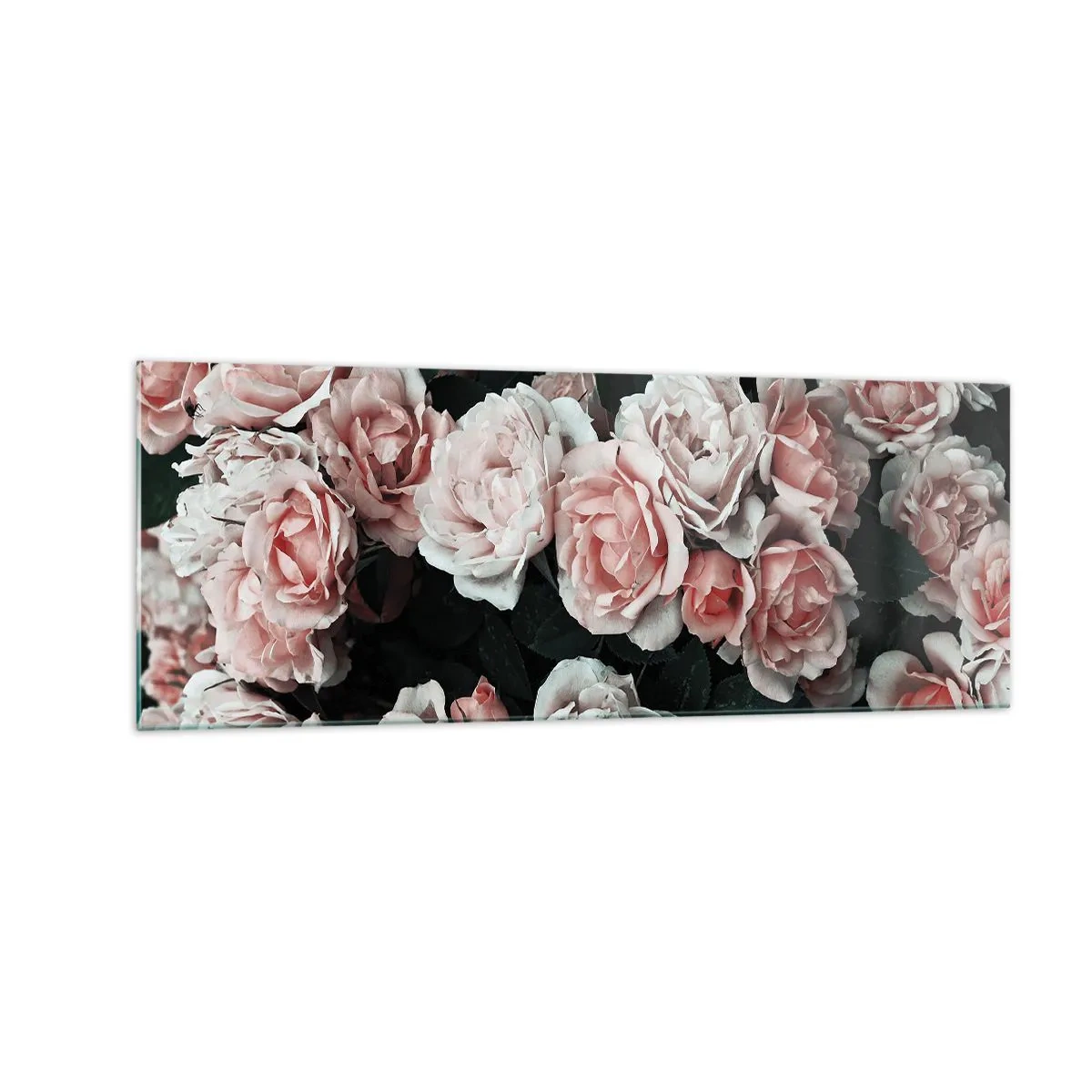 Cuadro sobre vidrio - Impresiones sobre Vidrio - Rosas rosadas sobre un fondo oscuro en una composición sutil. - 140x50cm - Conjunto de rosas - Decoración de pared moderna para salón y dormitorio ARTTOR