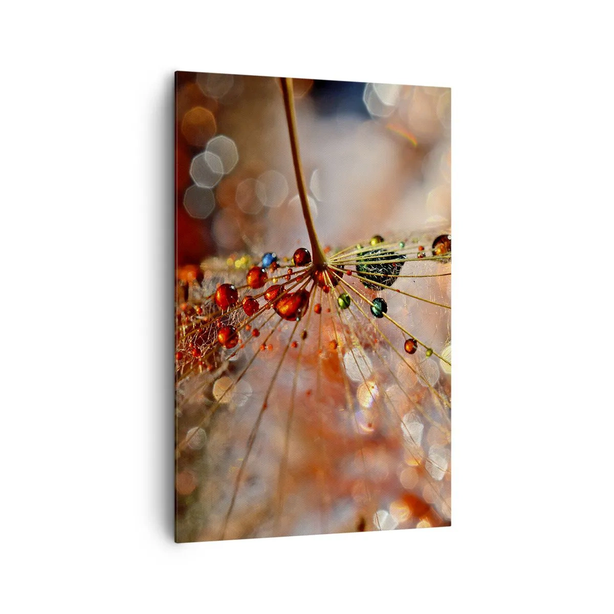 Cuadro sobre lienzo - Impresión de Imagen - Fotografía macro de una gota de agua sobre una planta delicada. - 80x120cm - En una tela de araña - Decoración de pared moderna para salón y dormitorio ARTTOR