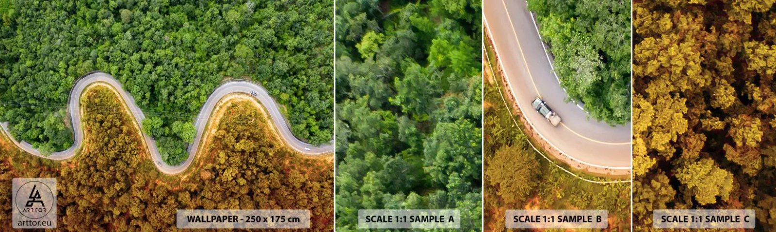 Muestra De Fotomural Standard Eco - Frontera serpenteante - Paisaje, Carretera del coche, Bosque - 100x30 cm