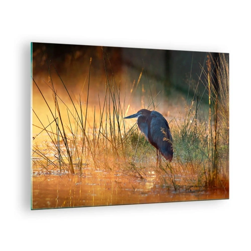 Cuadro sobre vidrio - Impresiones sobre Vidrio - Puesta de sol sobre un lago con una garza - 70x50cm - Dame un respiro con estas fotos - Decoración de pared moderna para salón y dormitorio ARTTOR