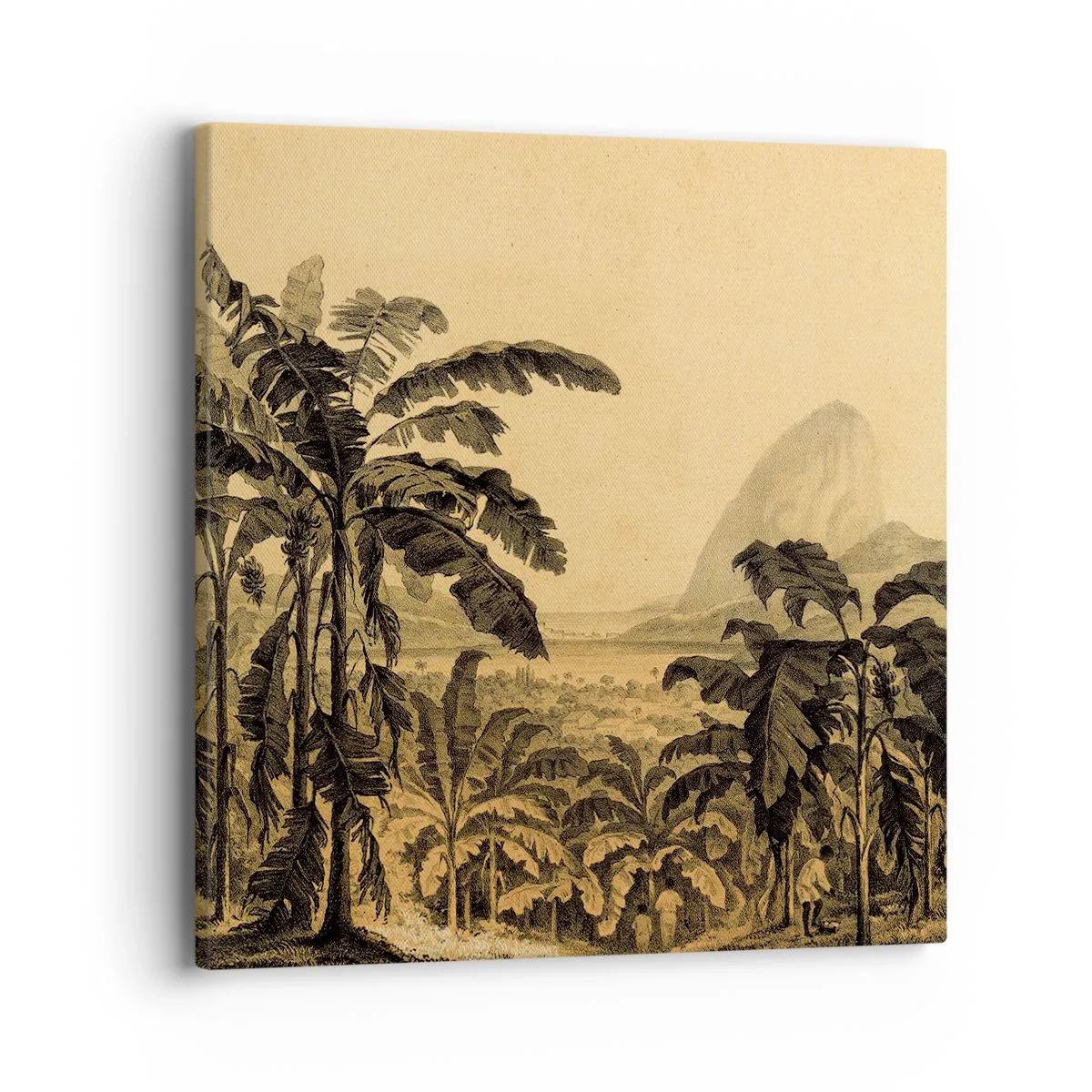 Cuadro sobre lienzo - Impresión de Imagen - En un ambiente colonial - 40x40 cm