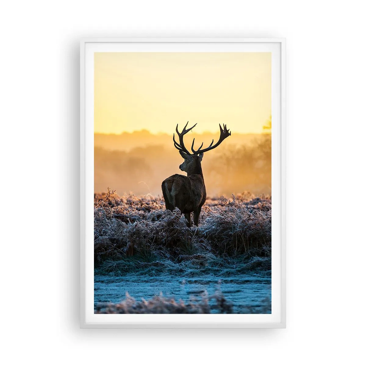 Póster en marco blanco - Coronado en sus propios dominios - 70x100 cm