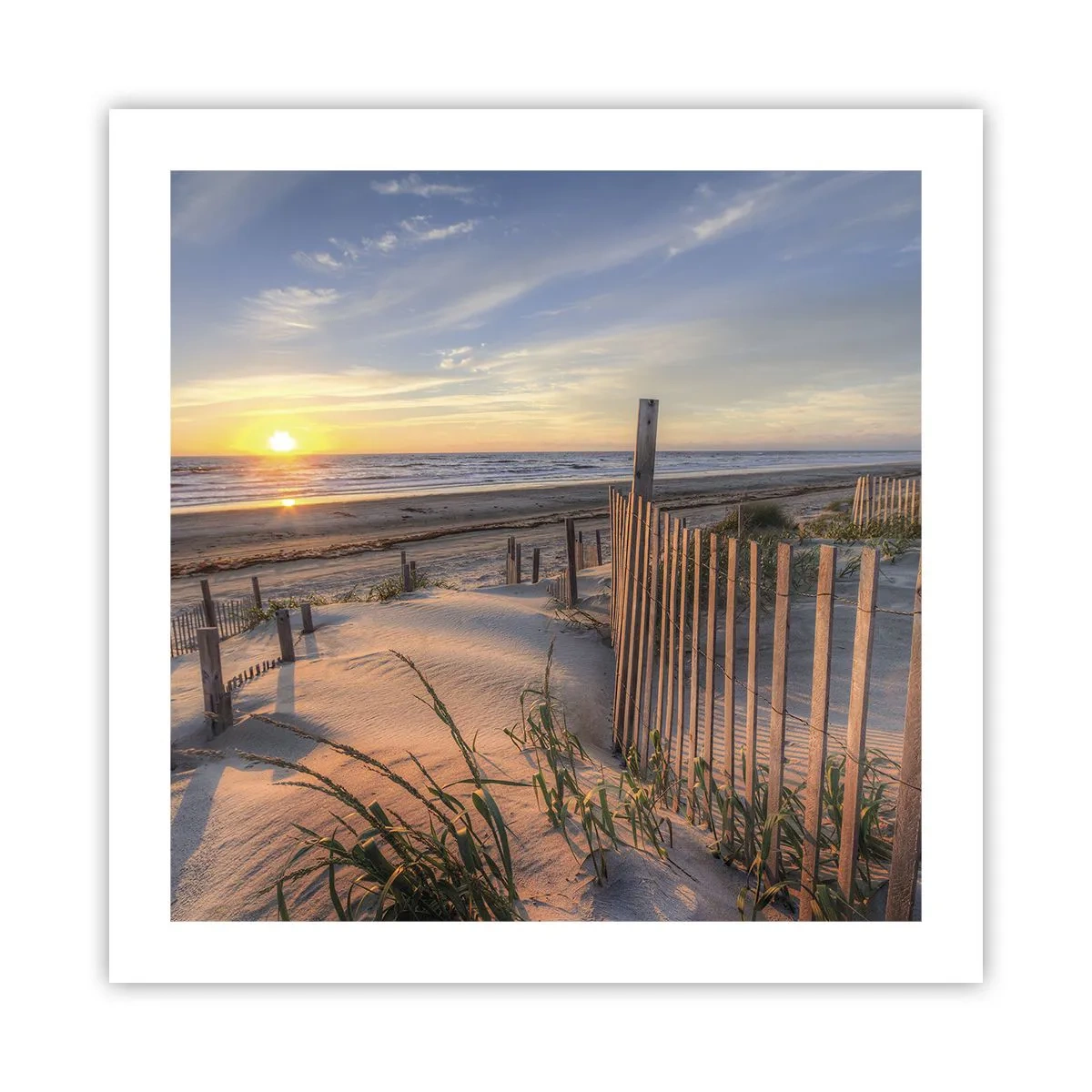 Póster - El resplandor y la sombra del viento - 50x50 cm