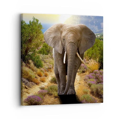 Cuadro sobre lienzo - Impresión de Imagen - Este es el aspecto del Edén - 30x30 cm