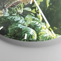 Esfera sin numeración, con rayas